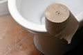 A roll of gray toilet paper lies on a white ceramic toilet in the bathroo Royalty Free Stock Photo