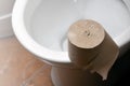 A roll of gray toilet paper lies on a white ceramic toilet in the bathroo Royalty Free Stock Photo