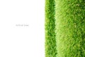 Roll of green artificial grass on a white background