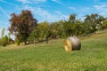 Roll hay in field along Romantic Road Weikersheim, Germany