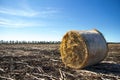 Roll of hay on field Royalty Free Stock Photo