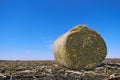 Roll of hay Royalty Free Stock Photo