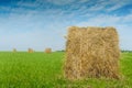 Roll of hay on a green field against a beautiful sky background Royalty Free Stock Photo