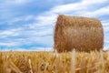 Roll of hay lying on a beveled field Royalty Free Stock Photo