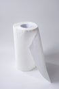 Roll of kitchen paper towel isolated on a white background Royalty Free Stock Photo