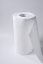 Roll of kitchen paper towel  on a white background Royalty Free Stock Photo