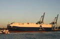 Roll-on/roll-off ship with dolphin graphics on hull moored at pier and container cranes at pier of Port of Auckland, New Zealand