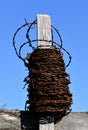 Roll of old barb wire on a fence Royalty Free Stock Photo