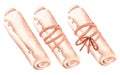 Roll of papyrus with rope and a bow set. Watercolor illustration. Isolated on a white background.