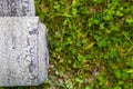 Roll of roofing felt close-up