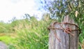 Roll of rusty barbed wire Royalty Free Stock Photo
