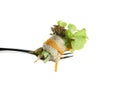 Roll salad on fork isolated on white. Royalty Free Stock Photo