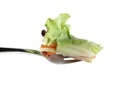 Roll salad on fork isolated on white. Royalty Free Stock Photo