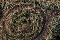 A roll of sod ready for unrollingcloseup Royalty Free Stock Photo