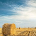 roll with straw in golden agriculture field in sunset Royalty Free Stock Photo