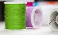 The roll of thread put at the left side on background,green thread,needlework,craft,sewing and tailoring concept Royalty Free Stock Photo