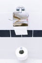 Roll of toilet paper Royalty Free Stock Photo