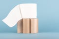 A roll of toilet paper on cardboard toilet paper rolls. Royalty Free Stock Photo