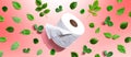 A roll of toilet paper with green leaves Royalty Free Stock Photo