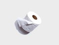 A roll of toilet paper overhead view Royalty Free Stock Photo