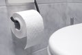 Roll of toilet paper in a tiled bathroom Royalty Free Stock Photo