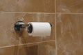Roll of toilet paper on wall mounted holder Royalty Free Stock Photo