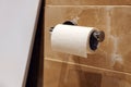 Roll of toilet paper on wall mounted holder Royalty Free Stock Photo