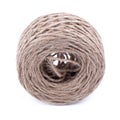 Roll of twine jute on sacking, hemp rope in paper roll isolated Royalty Free Stock Photo