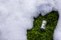 roll of us dollar banknotes on thawed green grass patch in the snow Royalty Free Stock Photo
