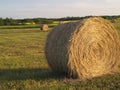 Rolled bale in feild dusk