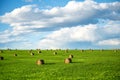 Rolled bale hay stack on green hill in farmland with white cloud in blue sky on sunny day Royalty Free Stock Photo