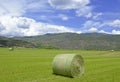 Rolled bale of wheat on farm, American west