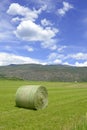 Rolled bale of wheat on farm, American west