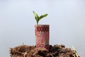 Rolled banknote money one hundred thousand Indonesia Rupiah and young plant grow up from the soil Royalty Free Stock Photo