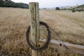 Rolled Barbed Wire on a Fence Post