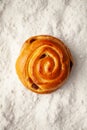 Rolled bun against the background of flour. Snail baking Royalty Free Stock Photo