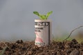 Rolled fifty US dollar banknote of America and young plant grow up from the soil