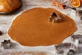 Rolled gingerbread dough and fir tree shape on table