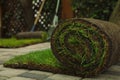 Rolled grass sod on pavement at backyard, closeup. Space for text Royalty Free Stock Photo