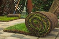Rolled grass sod on pavement at backyard. Space for text Royalty Free Stock Photo