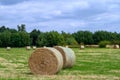Rolled Hay bails in a field Royalty Free Stock Photo