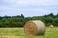 Rolled Hay bails in a field Royalty Free Stock Photo