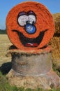 Rolled hay bale decorated with pumpkin face. Royalty Free Stock Photo