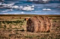 Rolled Hay Bale on a Farm Royalty Free Stock Photo