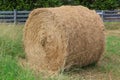 Rolled Hay Bale Royalty Free Stock Photo