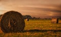 Rolled hay bales in the field during sunset Royalty Free Stock Photo