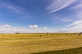 Rolled hay bales on the Saskatchewan prairie Royalty Free Stock Photo