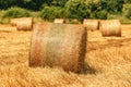 Rolled hay bales in wheat field stubble after cereal plant harvest Royalty Free Stock Photo