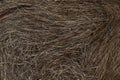 Rolled hay pattern. Dry straw grass hay background texture after havest Royalty Free Stock Photo