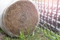 Rolled hay and plastic geogrid mesh for land transformation landscaping